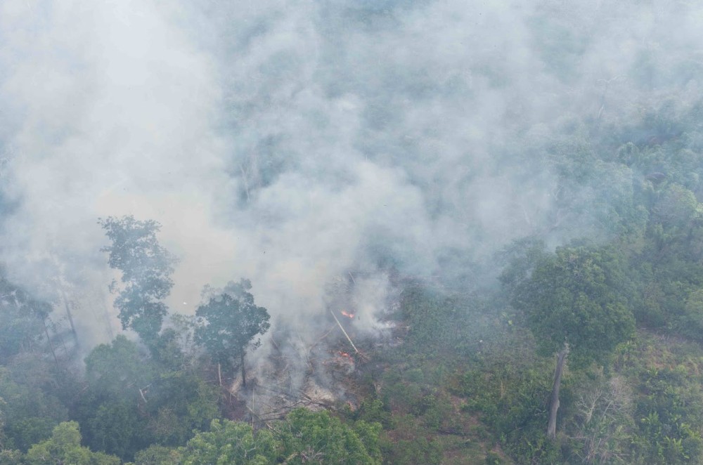 Ipaam multa proprietário de terreno em R$ 15 mil após flagrante de queimada no Careiro