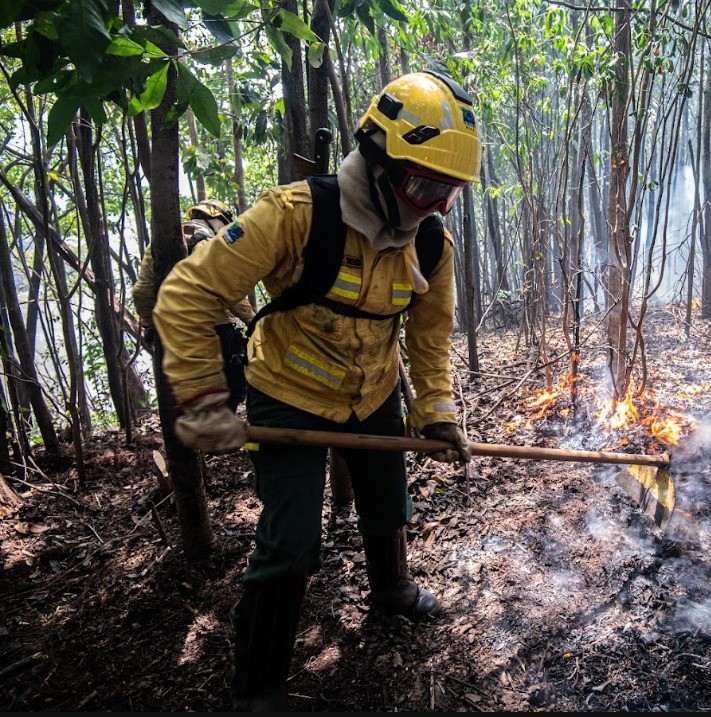 Governo Federal mobiliza 253 profissionais no combate aos incêndios no Amazonas